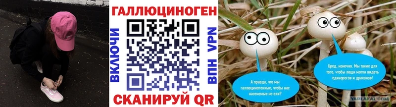 Купить где  Нюрба  Галлюциногенные грибы MAGIC MUSHROOMS 